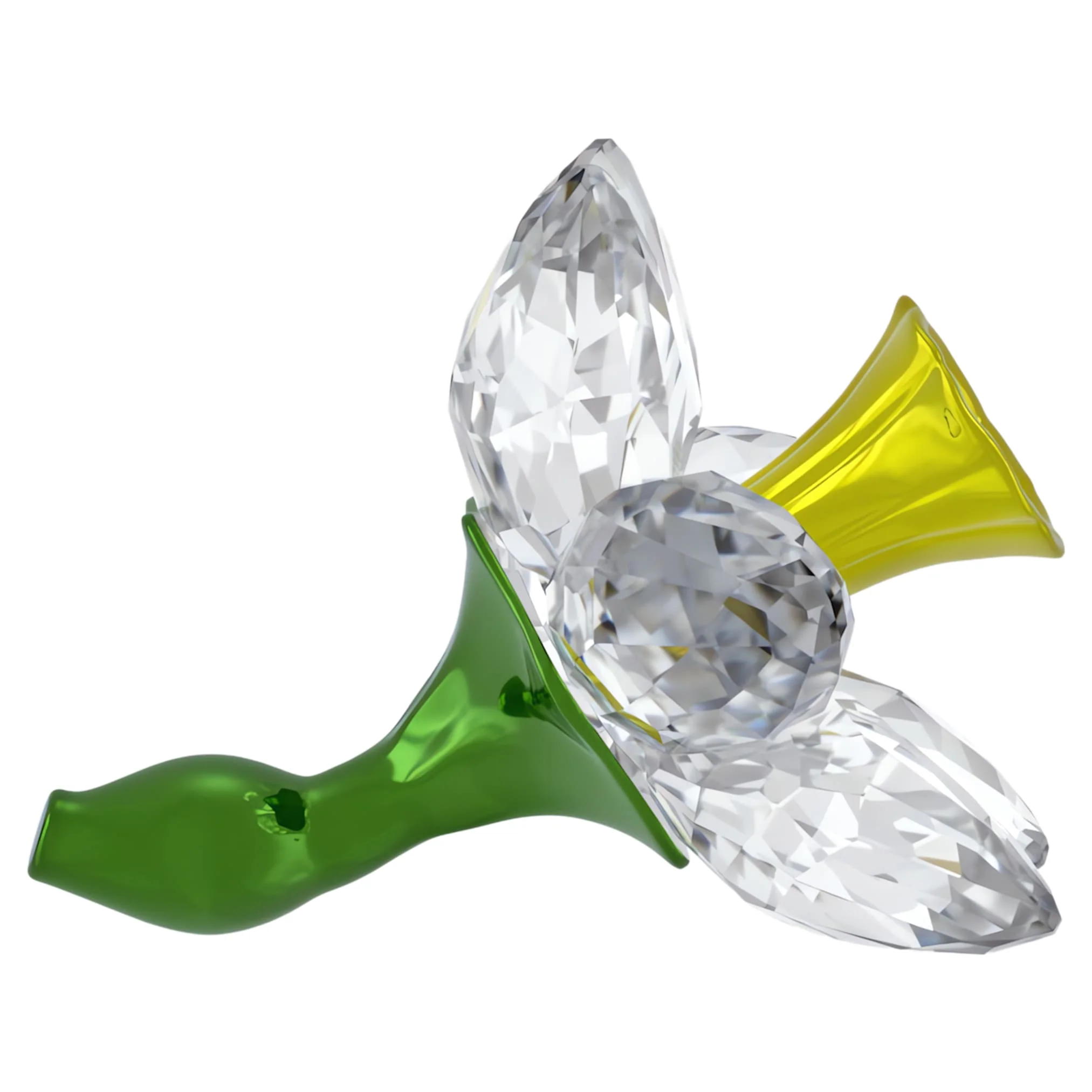 Florere Daffodil - Image 4