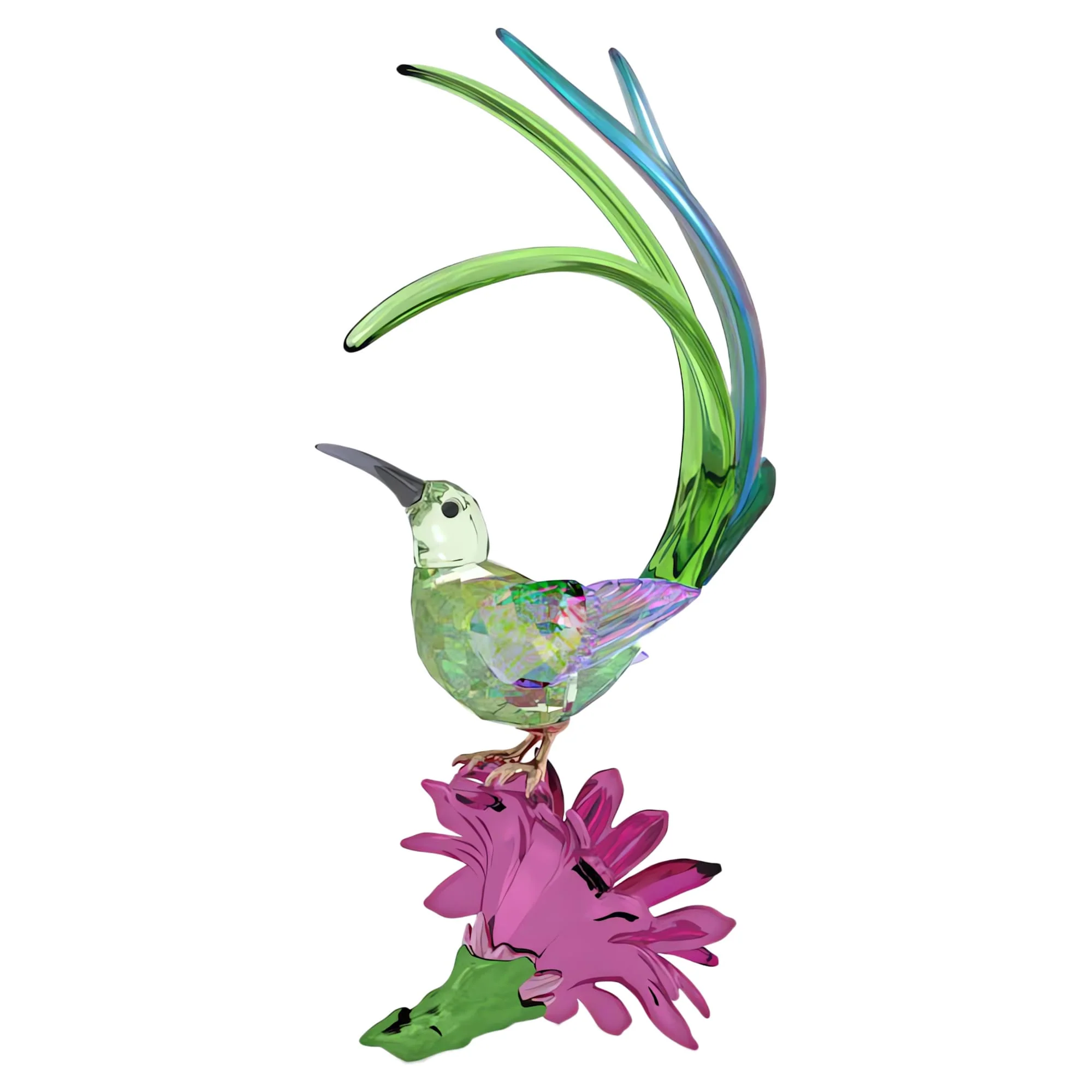 Idyllia Sugarbird and Cactus Flower - Image 3