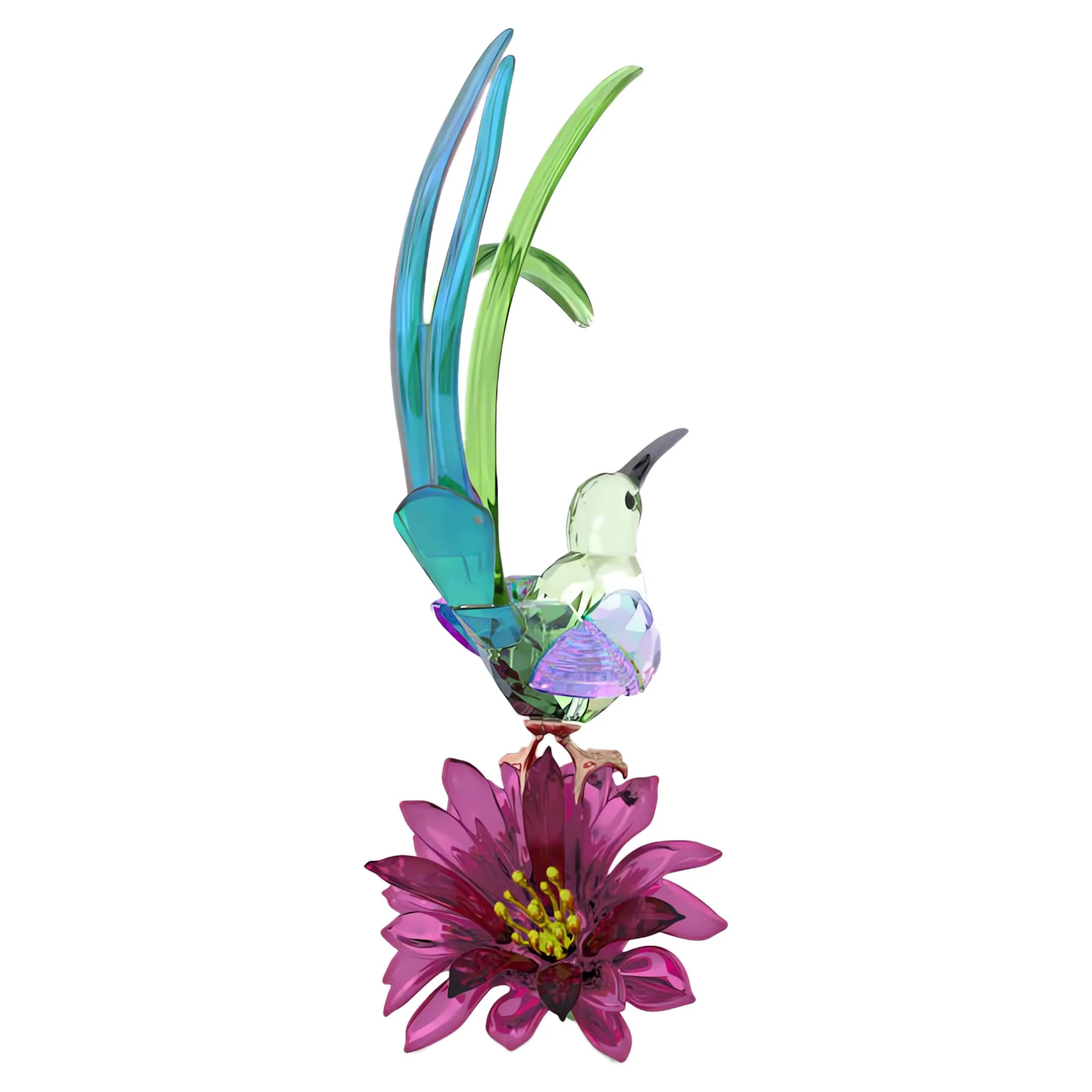 Idyllia Sugarbird and Cactus Flower - Image 4