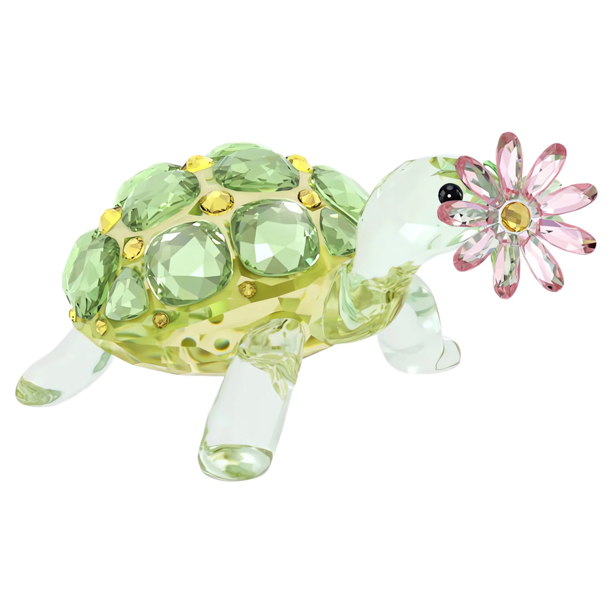 Idyllia Tortoise and Daisy - Image 4